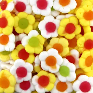Gänseblümchen